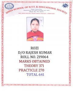 219064 ROZI