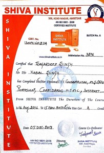 3296 Sagardeep Singh